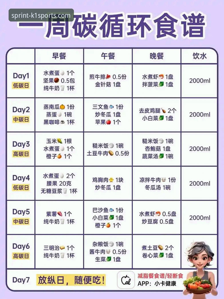 K1体育最新版App 如何获取并畅玩K1体育最新版App?一份新手入门全指南